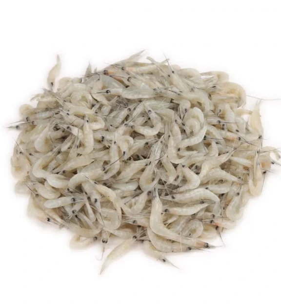 অরিজিনাল নদীর গুড়ি চিংড়ি | Super Fresh River Small Prawn | 100% কেমিক্যাল ফ্রি