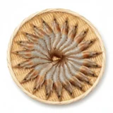 সুন্দরবনের চাকা চিংড়ি Super Fresh Chaka Chingri 100% কেমিক্যাল ফ্রি সি-ফুড