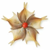 রূপচাঁদা শুটকি